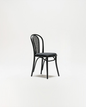 Presenting a chair that's not just furniture but a work of art for your living space.PLATI CHAIR
