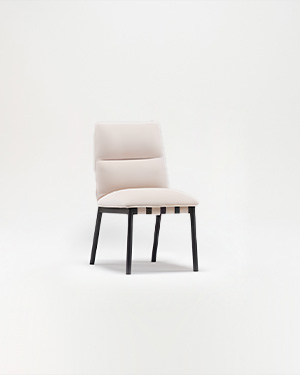Presenting a chair that's not just furniture but a work of art for your living space.URIAH SIDE CHAIR